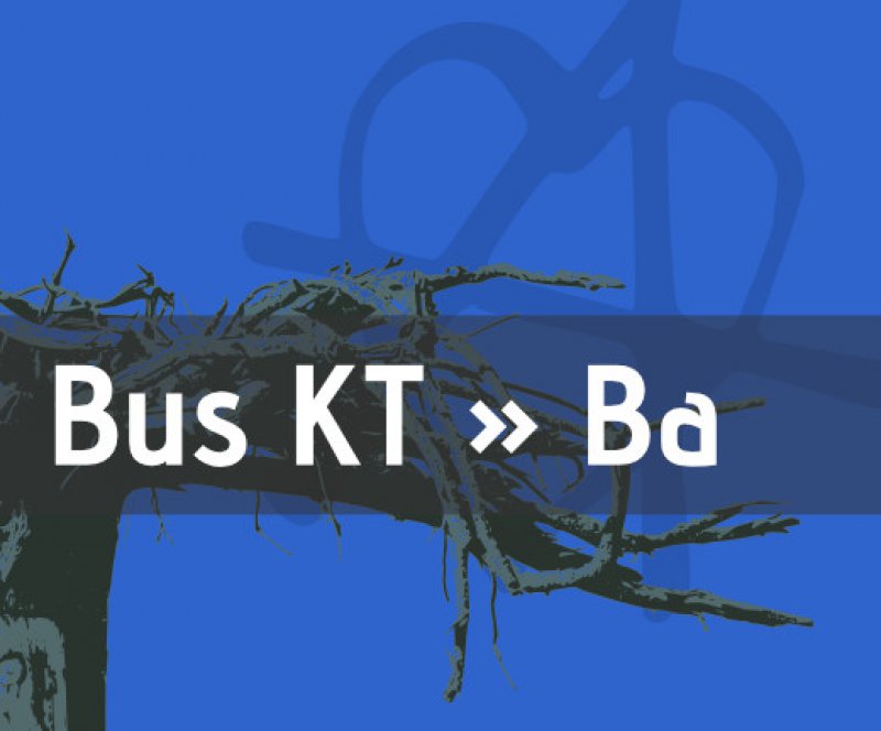 Rückfahrt nach Bamberg - SO, 16:30 Uhr